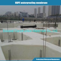 Underground Waterproofing Materials 1.5mm Thickness HDPE Water Proof Membrane