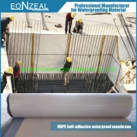 (Basement Waterproofing Pre-Applied) HDPE Self Adhesive Water Proof Membrane